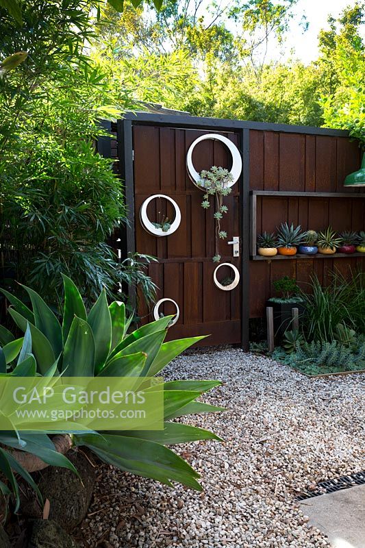 A rusty corten steel gate with a group of hand made white painted circular metal pots planted out with succulents. Pots include an Agave attenuata, Century plant and bamboo.