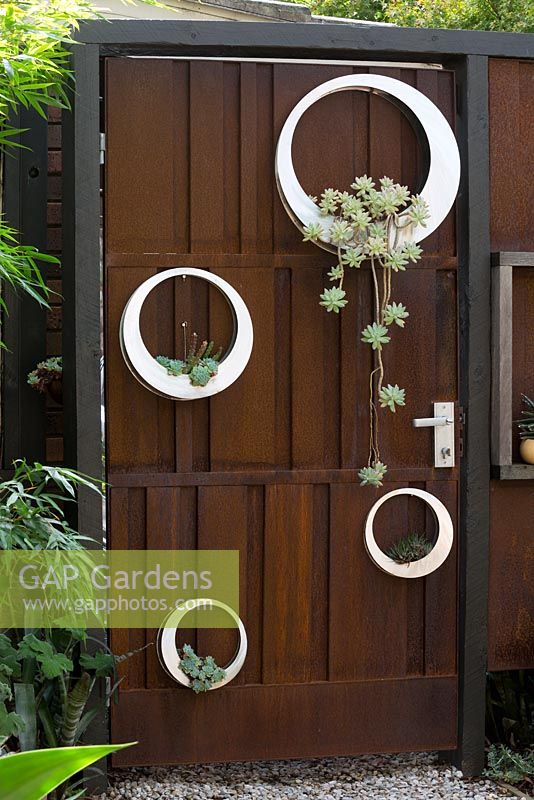 A rusty corten steel gate with a group of hand made white painted circular metal pots planted with succulents.