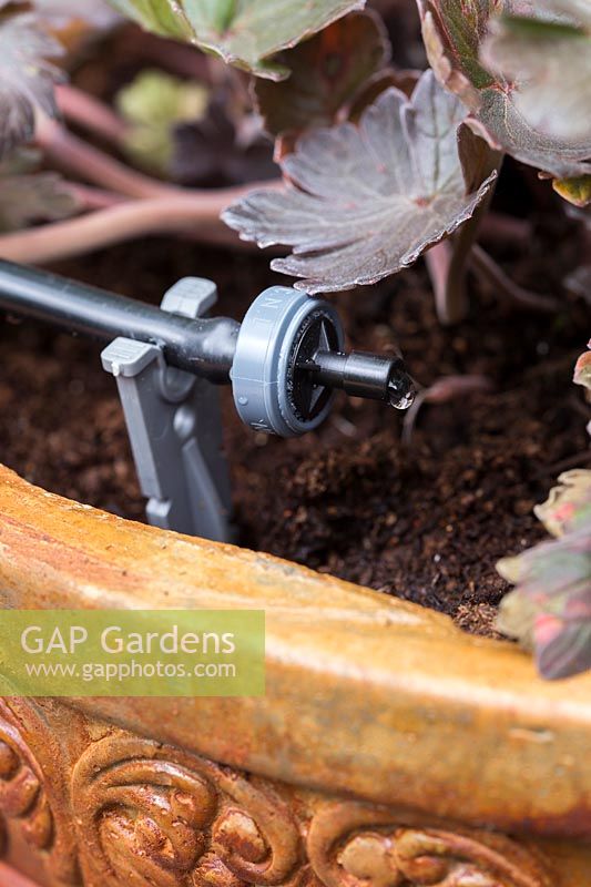 Irrigation drip system installed in rustic pots