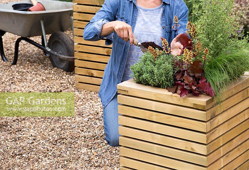 Woman adding additional compost to wooden planter with Stipa tenuissima 'Ponytails', Hebe, Heuchera Little Cutie 'Blondie' and Prostanthera ovalifolia 'Variegata'