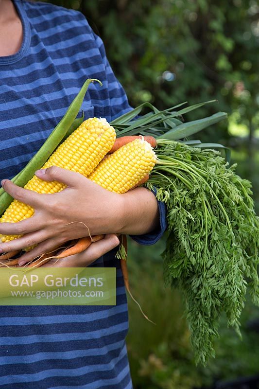 Young woman holding harvested vegetables in her arms