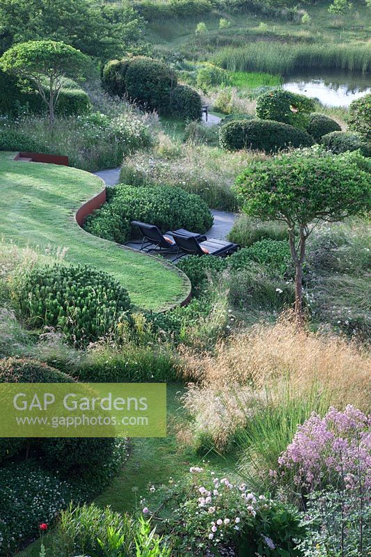 Overview of garden with countryside views beyond. Curving rusted Corten steel walls, Pinus mugo, clipped Crataegus x lavalleei 'Carrierei', Taxus baccata - Yew topiary, meadows and  natural pond. Borders with Stipa gigantea, Cenolophium denudatum, Eryngium giganteum, Thalictrum Elin and Rosa 'Rosemoor'.