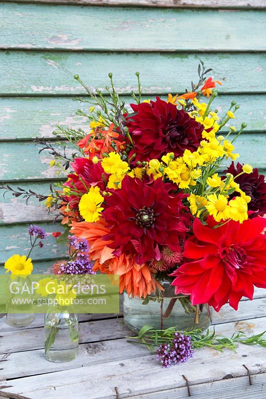 Glass vase with bouquet from flowers picked in the garden. Dahlia 'Mrs Eileen', 'Babylon Red', 'Mingus Alex', Helenium and Crocosmia