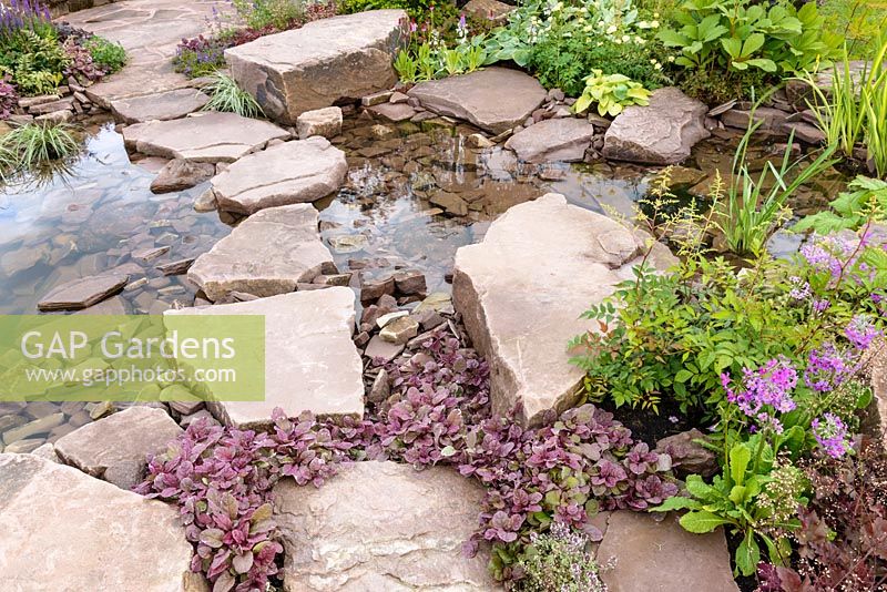 Ajuga reptans, Primula and Thyme. Borrowed Landscape in Naturalistic Water Garden - Jackie Knight's Just Add Water - RHS Chatsworth Flower Show 2017. Designer: Jackie Sutton - Built and sponsored by: Jackie Knight Landscapes