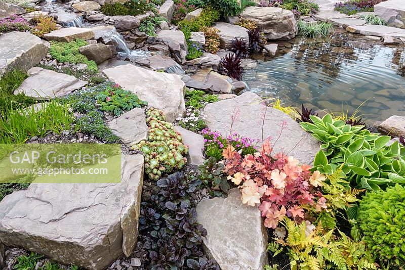 Naturalistic Water Garden - Jackie Knight's Just Add Water - RHS Chatsworth Flower Show 2017.  Designer: Jackie Sutton - Built and sponsored by Jackie Knight Landscapes