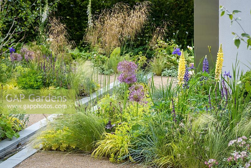 Mixed Summer border with Alliums. Cruse Bereavement Care: 'A Time for Everything' - RHS Chatsworth Flower Show 2017 - Designer: Neil Sutcliffe - Sponsor: London Stone