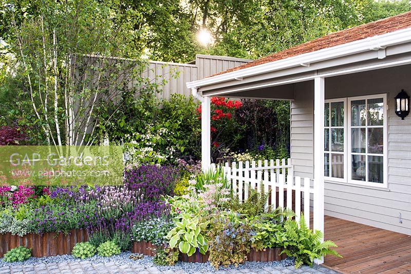 Flowerbed in front of wooden house with white fence and spring planting including: Primula pulverulenta, Betula pendula Jaquemontii, Syringa meyeri 'Palibin', Delphinium pacific hybrids 'Galahad', Lavandula stoechas 'Devonshire compact', Lavender stoechas 'Lusi Pink', Lavandula stoechas 'Regal Splendour', Lavandula stoechas 'Lusi Purple', Sedum 'Thundercloud', Hosta 'Shade Fanfare' and ferns. Crane Garden Buildings stand. Designer: Peter Mortin