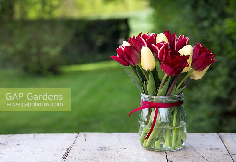 Floral arrangement in glass vase with Tulipa 'Armani, Tulipa 'Curly Sue' and Tulipa 'Vanilla Cream'