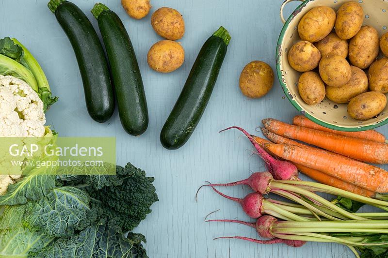 Harvested vegetables including carrots, potatoes, beetroot, cabbage and cauliflower