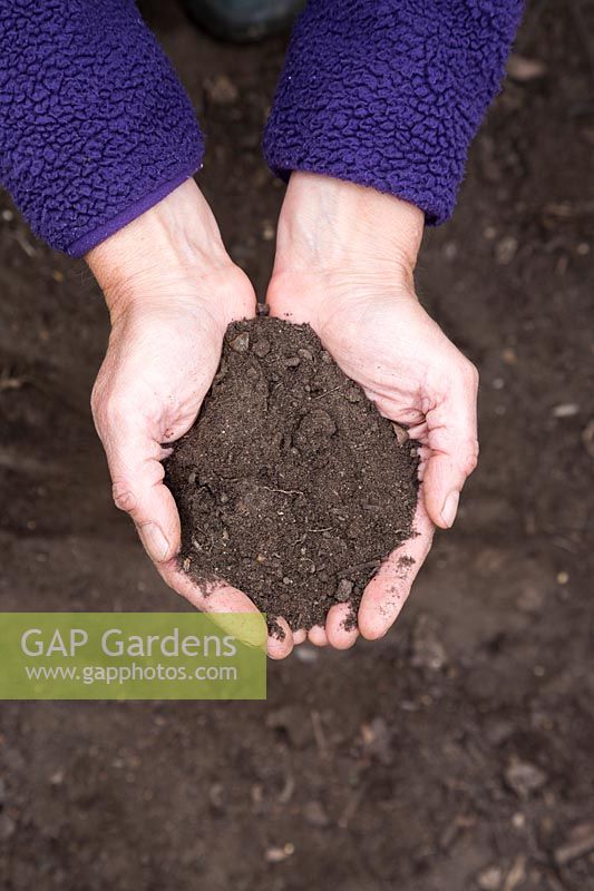 Holding Sandy soil