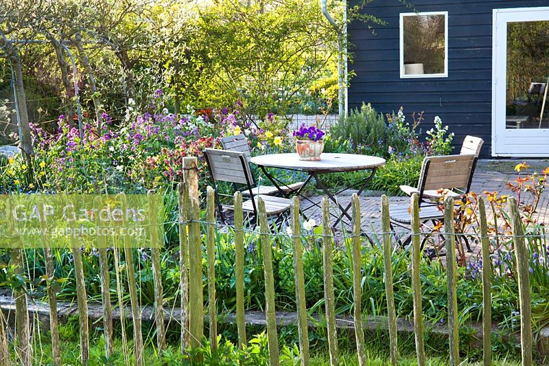 Relaxing area on a patio with borders in spring. Helleborus x hybridus syn. Helleborus orientalis - Hellebore, Hyacinthoides hispanica Spanish Bluebells, Lunaria annua honesty, Narcissus, Myosotis - Forget me nots. Design: Thea Maldegem