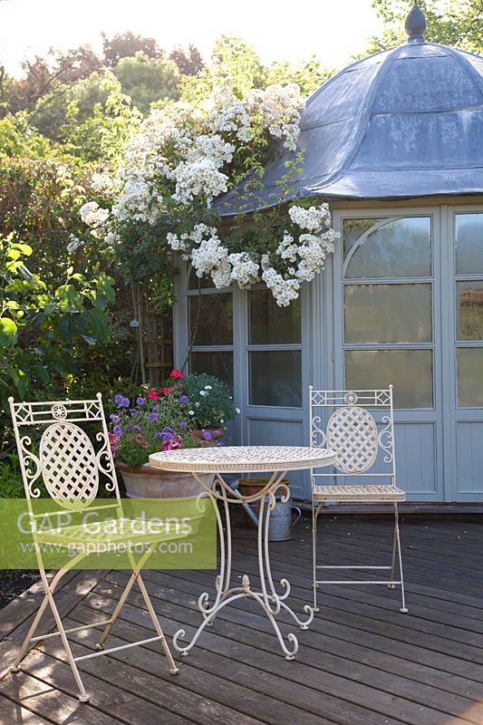 Decorative metal furniture on decked patio with stone urn and summerhouse with Rosa