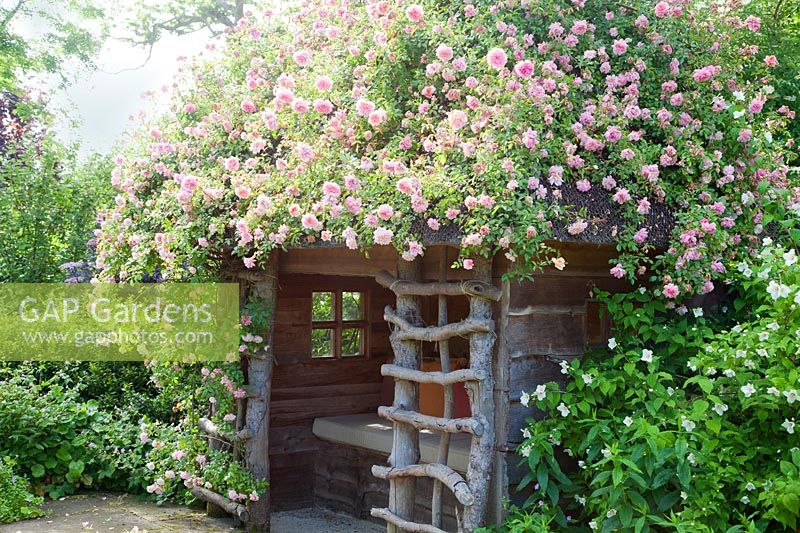 Decorative summerhouse with rambling rose and Philadelphus
