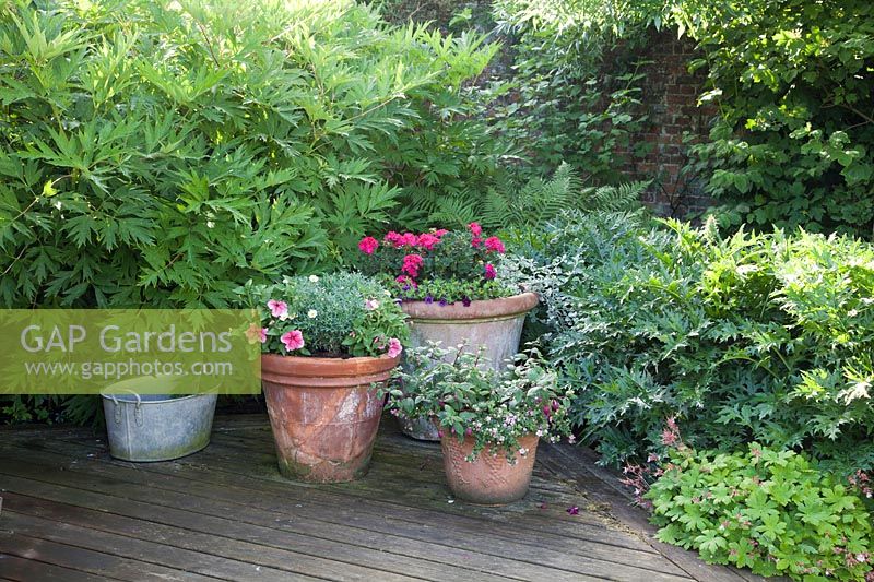 Decorative mixed containers and vintage metal tub on decked patio
