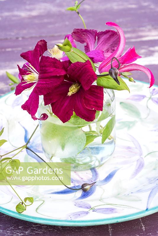 Clematis displayed in glass jar