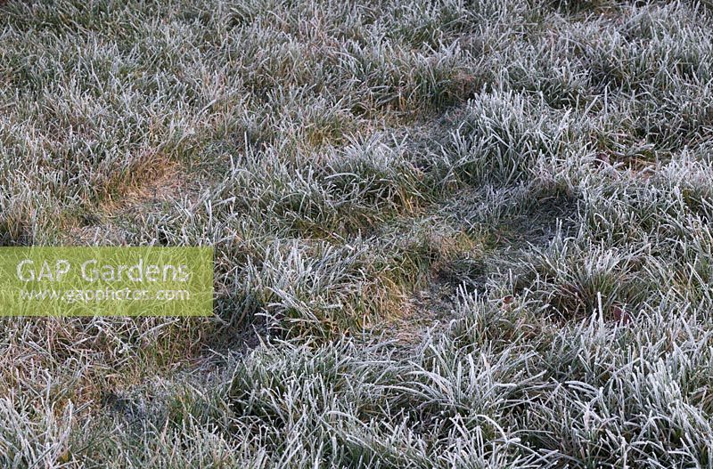 Footprint on frosty grass