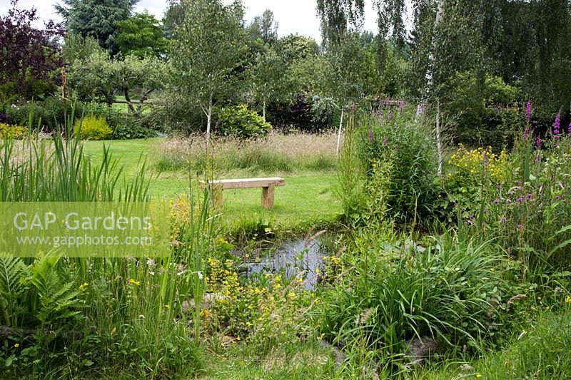 Rustic wooden bench by natural pond