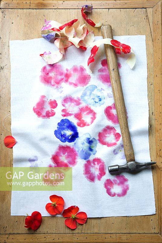 Printing onto fabric with fresh flowers. Gently hammer round and round on to the flowers so they leave an imprint on to the fabric and when finished remove the masking tape and any remnants of the flowers