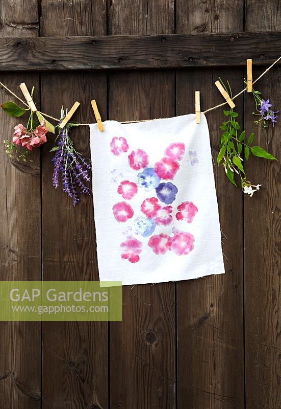 Printing onto fabric with fresh flowers. Finished printed fabric hanging up with summer flowers
