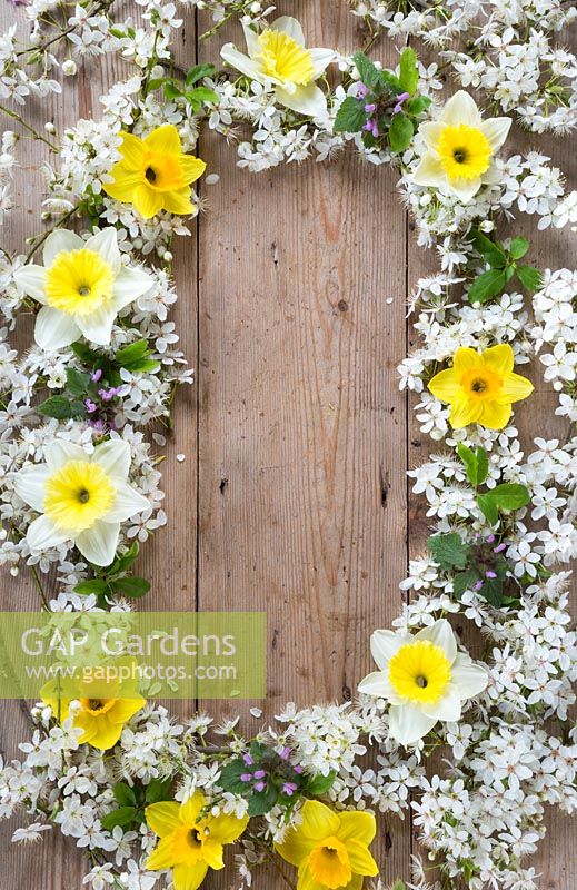 Border of decorative spring flowers on wooden board