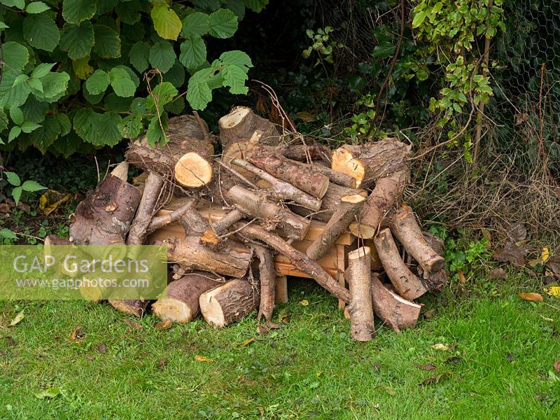 Construction of garden hedgehog house from recycled wood.