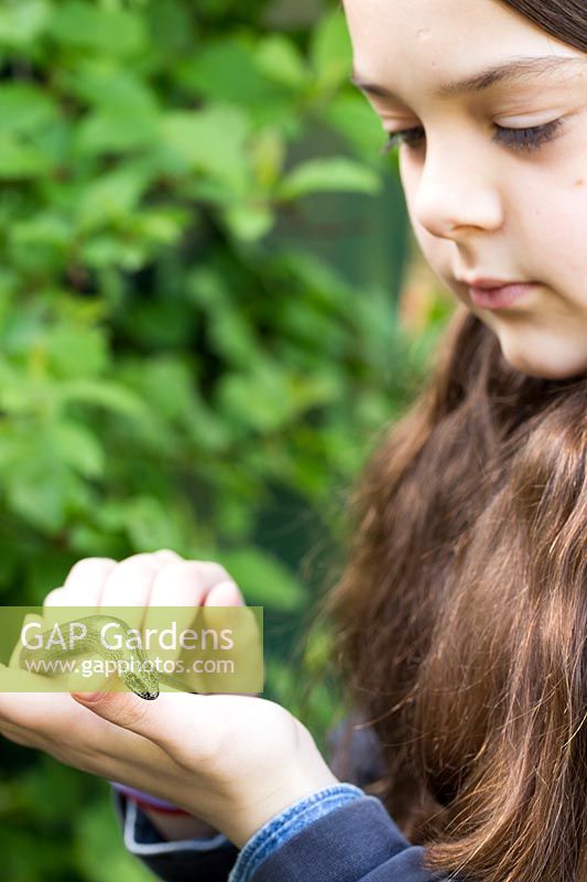 Young girl holding slow worm