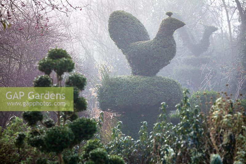 Yew and Box topiary in Charlotte and Donald Molesworth's garden, Kent, UK.