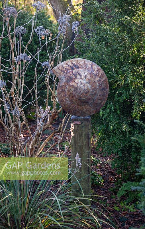 'Ammonite' Sculpture by Peter M Clarke with Box and Hydrangea