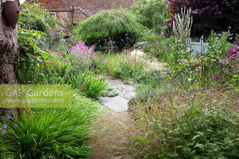 A small low maintenance modern cottage garden. York stone and gravel pathway meander through planting with Stipa tenuissima, Hakonechloa macra 'Aureola', Stipa arundinacea, Verbena bonariensis, Thyme, Verbascum, Lychnis coronaria, to the weeping Birch - Betula pendula 'Youngii'.