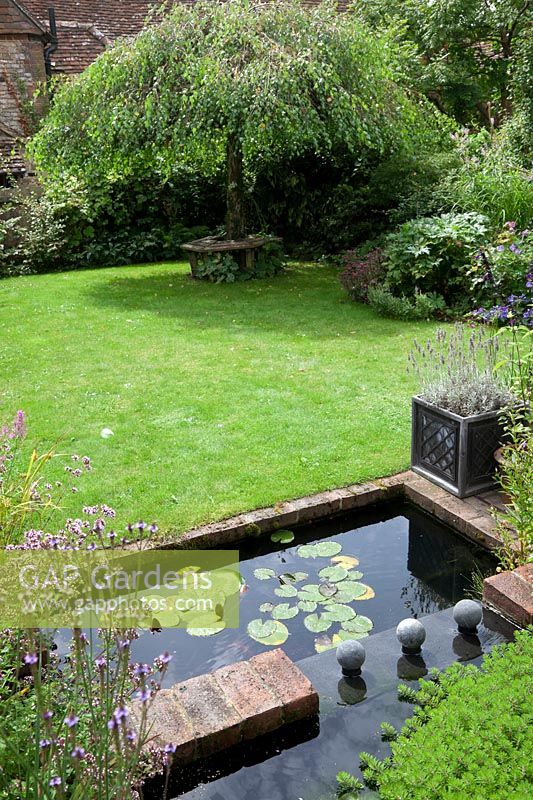 A lead covered water feature two tier pond with water lily foliage in a small low maintenance modern cottage garden. Planting includes Verbena hastata, a grass lawn leads  to the weeping Birch - Betula pendula 'Youngii' with rustic wooden tree seat.