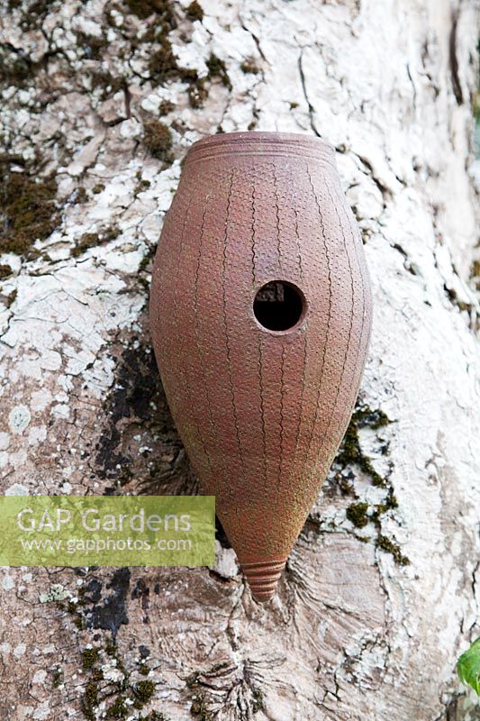 Ceramic bird box fixed to large Maple tree