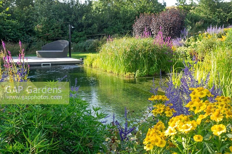 The Natural swimming pool blends into the garden so well.