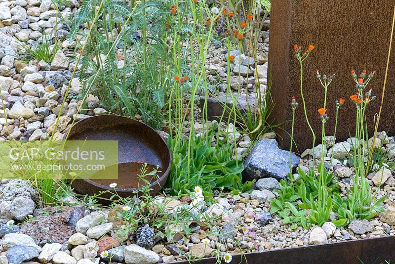 Rusted metal bowl in gravel garden - Brownfield Metamorphosis. RHS Hampton Court Palace Flower Show 2017 - Designer: Martyn Wilson. Sponsor: St. Modwen Properties PLC
