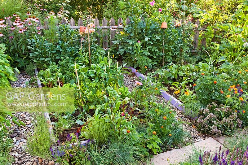 Vegetable and herb beds: lettuces, swiss chard, beans, savory peppers, oregano, parsley marigolds, dahlias, kohlrabi.