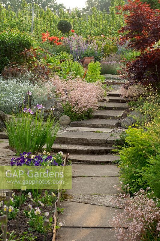 Pockets of colour and texture is created by careful planting beside the path and steps as you wander through the garden.