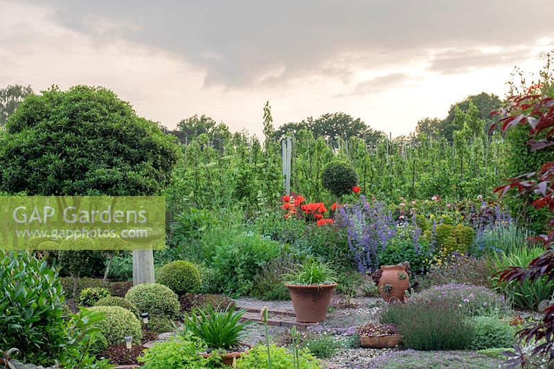 The central herb gravel garden looks out across the herbaceous planting to the pear orchards.