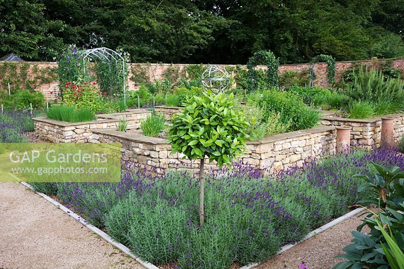 The herb garden in walled kitchen garden with focal point Armillary Sphere by David Harber. Raised beds with herbs including Chives, Mnarda, Rosemary, made of drystone walls surrounded by Lavandula 'Imperial Gem'.   Steel arches with Sweet Peas and half standard Bay tree. 