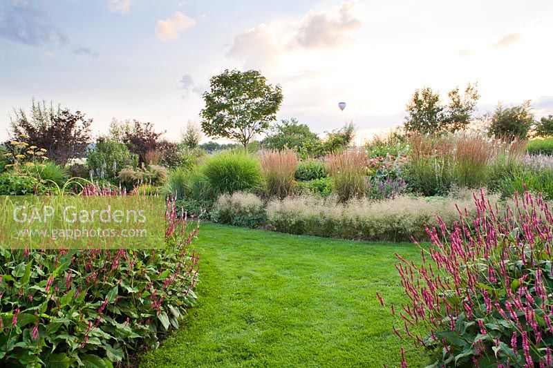 Summer borders of perennials and grasses. Planting includes Deschampsia cespitosa 'Goldtau', Teucrium hircanicum, Miscanthus sinensis, Calamagostris x acutiflora 'Karl Foerster', Persicaria amplexicaulis. Lily Frederix, Netherlands