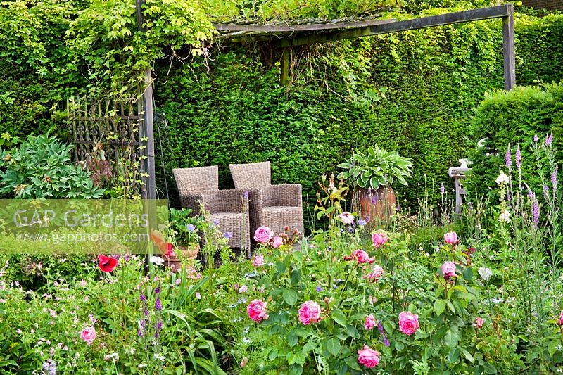 Rosa 'La Rose de Molinard' in herbaceous border in front of relaxing area - Hetty van Baalen garden, Netherlands