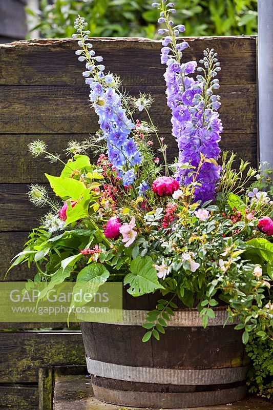 Floral display in old barrel. Hetty van Baalen garden, The Netherlands