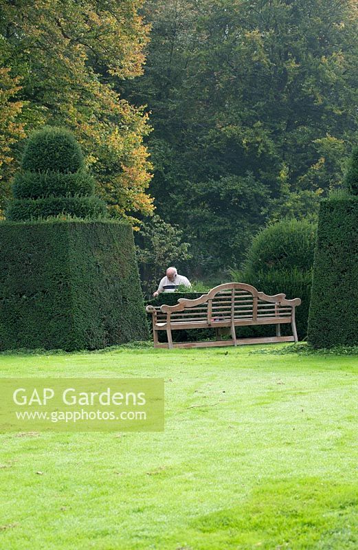Portrait of Dirk Aneca pruning the centuries-old topiary's of Bingerden Estate.