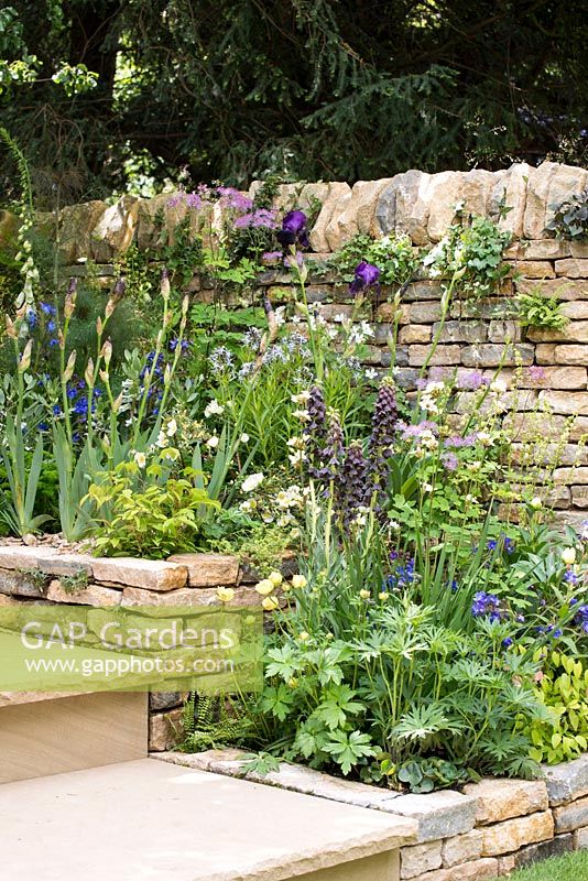 The Poetry Lovers Garden - Stepped border next to a dry stone wall, plants include Fritillaria persica 'Adiyaman', Iris 'Black Swan' and Thalictrum 'Black Stockings' - RHS Chelsea Flower Show 2017
