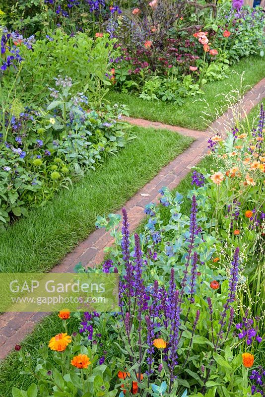 The Anneka Rice Colour Cutting Garden - Red brick pathway  and grass between flowerbeds with Salvis, Geum and Marigolds - RHS Chelsea Flower Show 2017