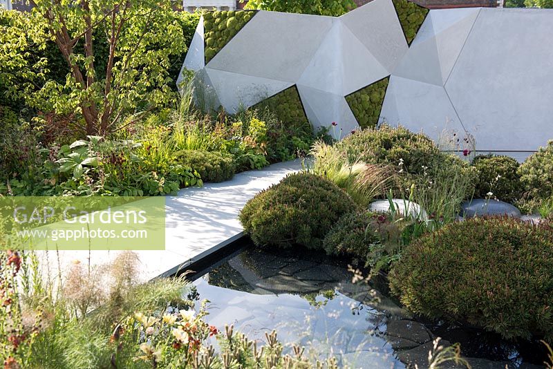 Acer griseum in border with Aquilegia vulgaris, Epimedium, grasses and Euphorbia, paved path over water leading to abstract wall with moss - The Jeremy Vine Texture Garden - Radio 2 Feel Good Gardens -RHS Chelsea Flower Show 2017 - Designer: Matt Keightley