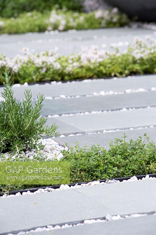 Grey stone planks and gravel patio planted with rows of thyme - Living Landscape: Healing Urban garden - RHS Hampton Court Palace Flower Show 2015