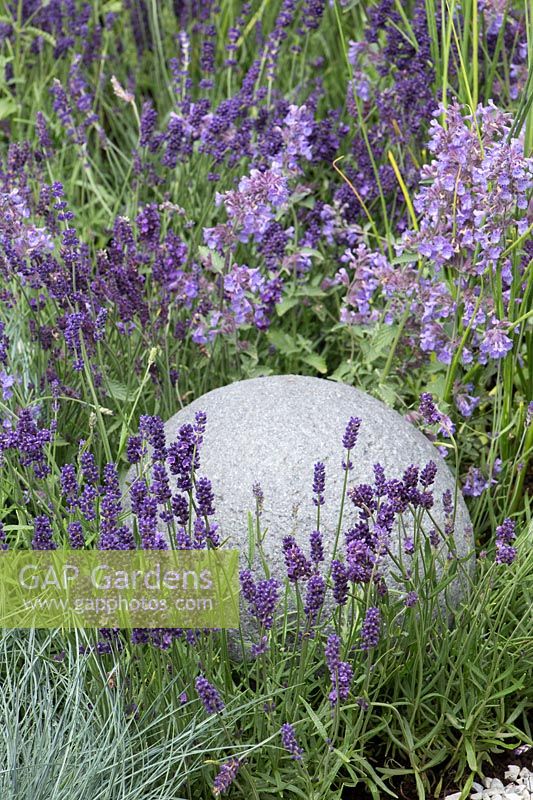 Concrete sphere in border with Lavandula angustifolia - Living Landscapes: Healing Urban Garden - RHS Hampton Court Palace Flower Show 2015