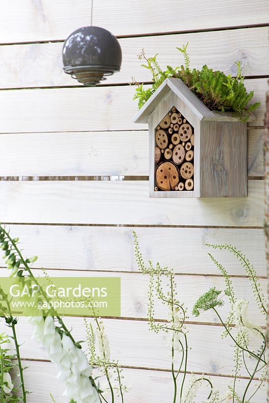 White painted fence with bird box, Digitalis purpurea f. 'Albiflora' Living Landscapes - City Twitchers Garden -RHS Hampton Court Flower Show 2015