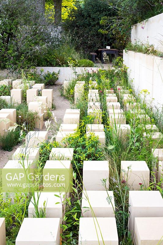 The M and G Garden, view of pillars made of Maltese lime stone, surrounded by Euphorbia melitensis, Salsola melitensis, Limonium melitense, Matthiola incana subsp. melitensis - RHS Chelsea Flower Show 2017