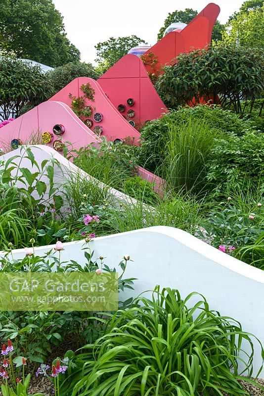 Chinese origin planting among pin blade 'mountains' in shades of red and pink - Silk Road Garden, Chengdu, China -  The Chengdu Silk Road Garden - RHS Chelsea flower show 2017 - Designer: Laurie Chetwood and Patrick Collins