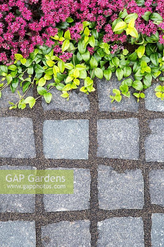 Making a mixed material patio - detail of granite sett path